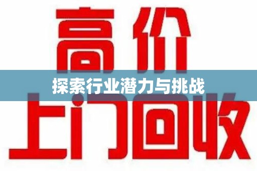 西安探索行业潜力与挑战