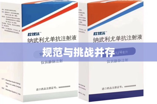 西安规范与挑战并存