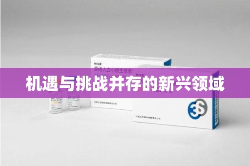 西安机遇与挑战并存的新兴领域