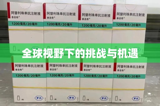 西安全球视野下的挑战与机遇