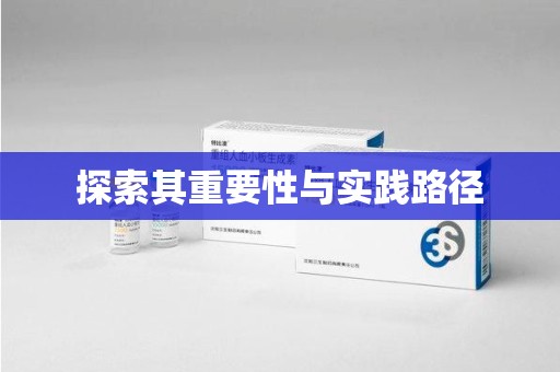西安探索其重要性与实践路径