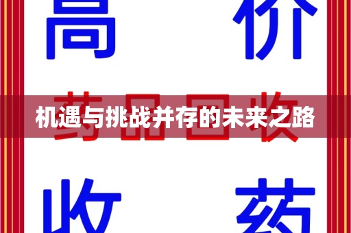 西安机遇与挑战并存的未来之路