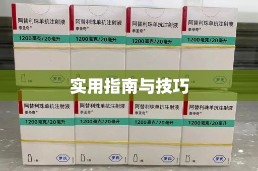西安实用指南与技巧