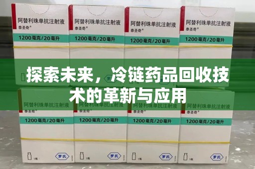 西安探索未来，冷链药品回收技术的革新与应用