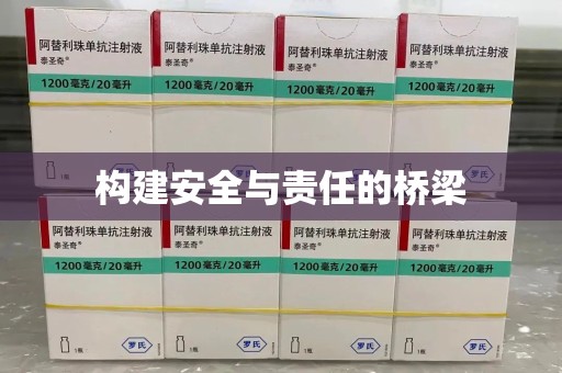 西安构建安全与责任的桥梁
