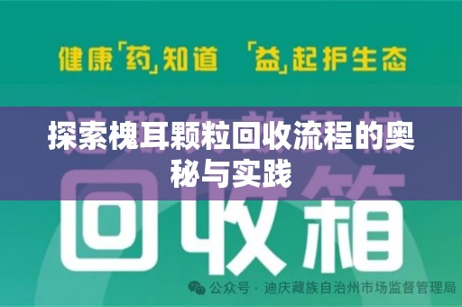 西安探索槐耳颗粒回收流程的奥秘与实践