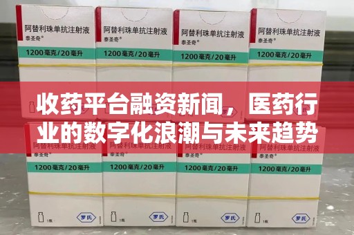 西安收药平台融资新闻，医药行业的数字化浪潮与未来趋势