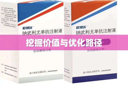 西安挖掘价值与优化路径